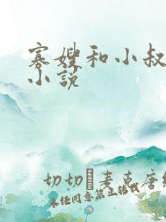 寡嫂和小叔子的小说