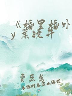 《婚里婚外》by 叶晓井