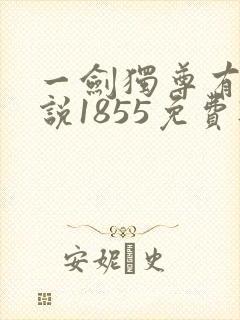 一剑独尊有声小说1855免费听