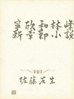 宁欣和林峰的最新章节小说