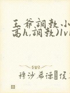 王爷调教小说(高h,调教)1v1