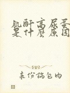 肌酐高尿蛋白高是什么原因引起的