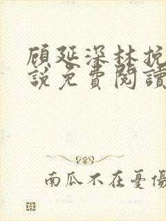 顾延深林挽音小说免费阅读最新章节