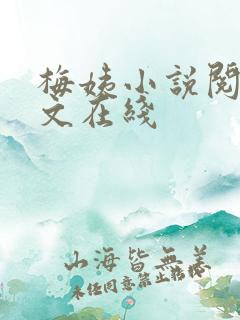 梅姨小说阅读全文在线