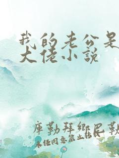 我的老公是女装大佬小说