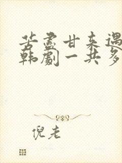 苦尽甘来遇见你韩剧一共多少集