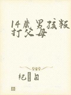 14岁男孩叛逆打父母