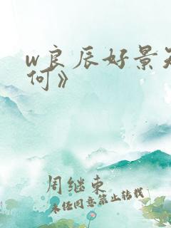 w良辰好景知几何》