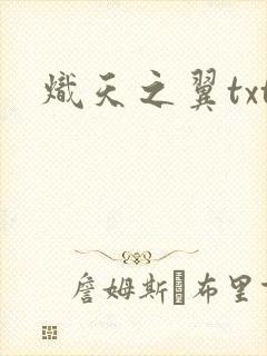炽天之翼txt
