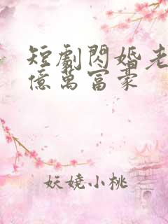 短剧闪婚老公是亿万富豪