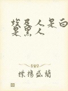 埃及人是白人还是黑人