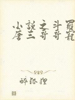 小说之斗罗:被唐三哥哥宠上天