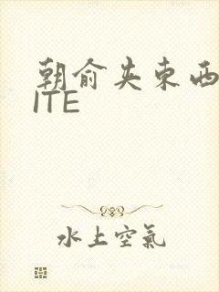 朝俞夹东西WRITE