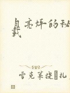 月亮坪的秘密下载