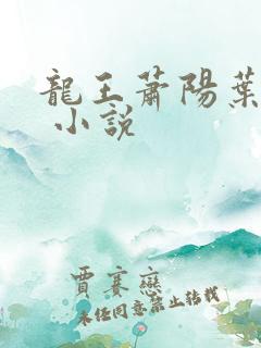 龙王萧阳叶云舒 小说