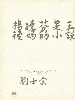 杨晓芬是王磊的后妈的小说小说全文在线阅读