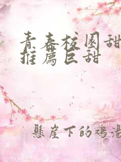 青春校园甜宠文推荐巨甜