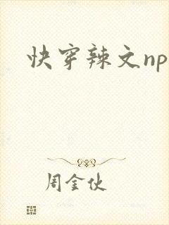 快穿辣文np文