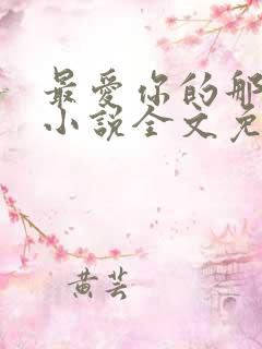 最爱你的那十年小说全文免费阅读