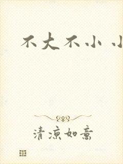 不大不小 小说