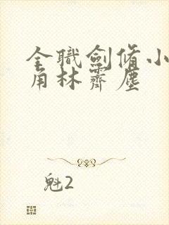 全职剑修小说主角林霁尘