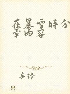 在暴雪时分54章内容