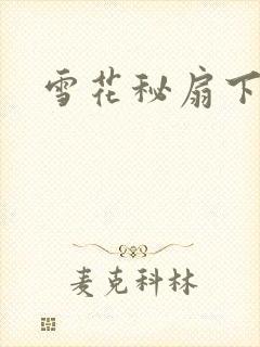 雪花秘扇下载