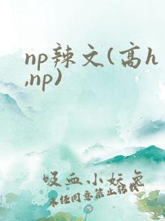 np辣文(高h,np)