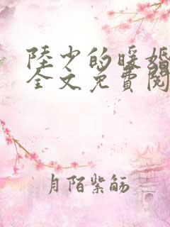 陆少的暖婚新妻全文免费阅读缓存