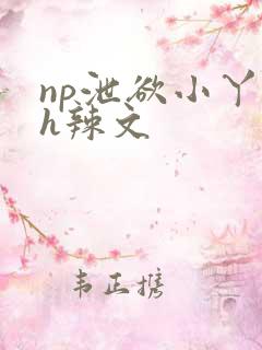 np泄欲小丫鬟h辣文