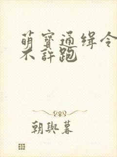 萌宝通缉令妈味不许跑