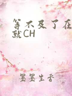 等不及了在车里就CH