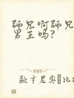 师兄啊师兄是双男主吗?