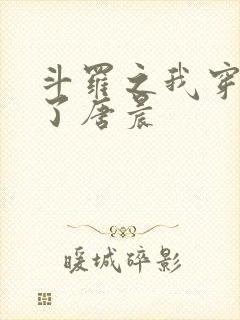 斗罗之我穿越成了唐晨