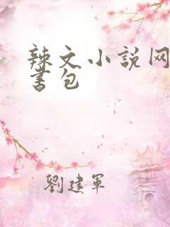 辣文小说网第二书包