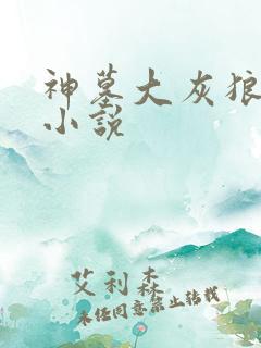 神墓大灰狼有声小说