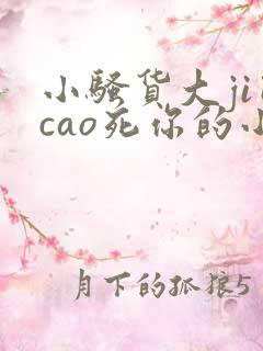 小骚货大ji巴cao死你的小说