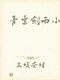 青云剑雨小说
