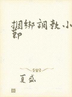 捆绑调教小说章节