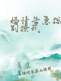 婚情告急总裁请别撩我