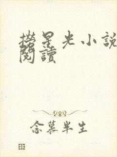 捞星光小说免费阅读