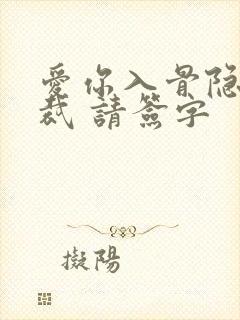 爱你入骨隐婚总裁 请签字