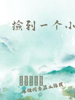 捡到一个小妖精