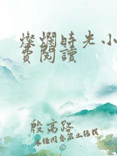 灿烂时光小说免费阅读