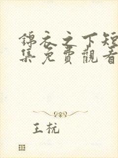 锦衣之下短剧全集免费观看