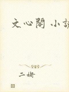 文心阁 小说