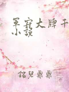 军宠大牌千金 小说