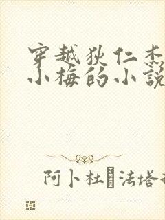 穿越狄仁杰娶了小梅的小说