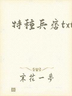 特种兵痞txt
