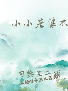 小小老婆不受宠